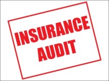 Insurance Audit
